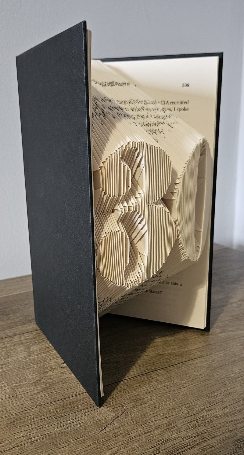 Folded Book Art. 30th Birthday. Recycled Book Gift.