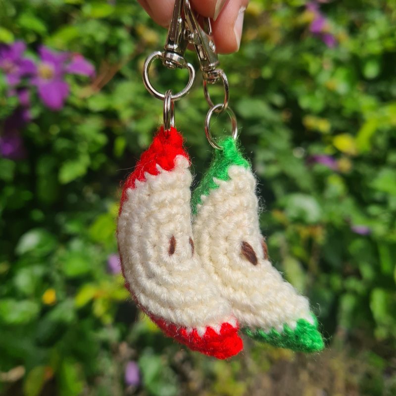 Fruit Slice Keyrings