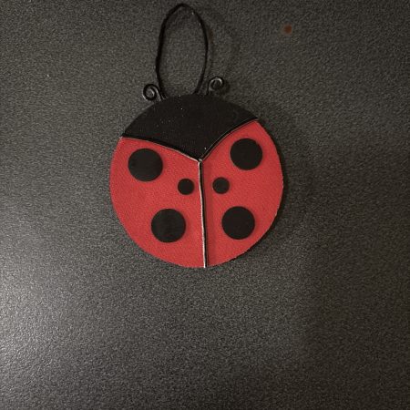 Handmade ladybird door decoration