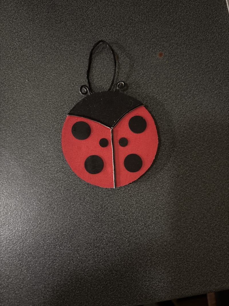 Handmade ladybird door decoration
