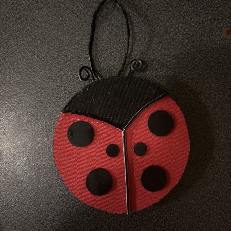Handmade ladybird door decoration