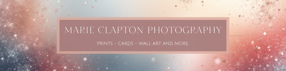 Marie Clapton Photography