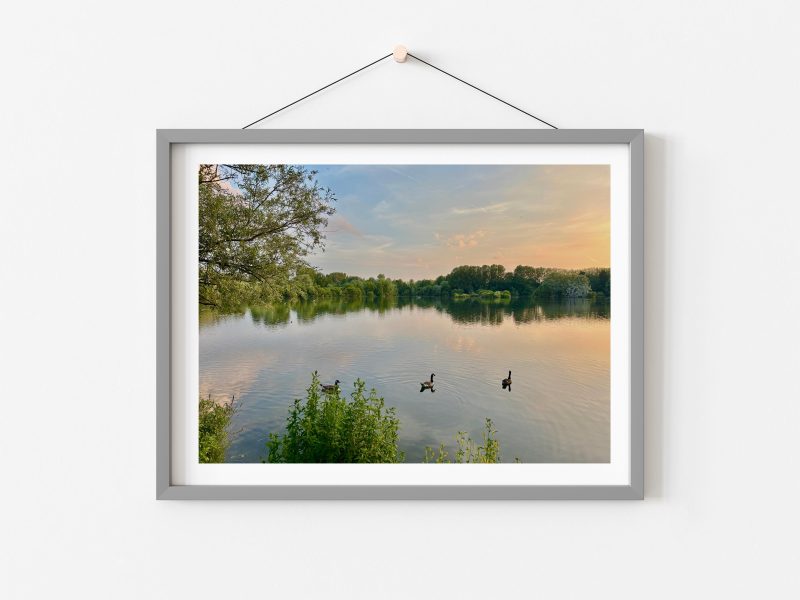 12×8 inch Photo Print of Radley Lakes Abingdon Oxfordshire