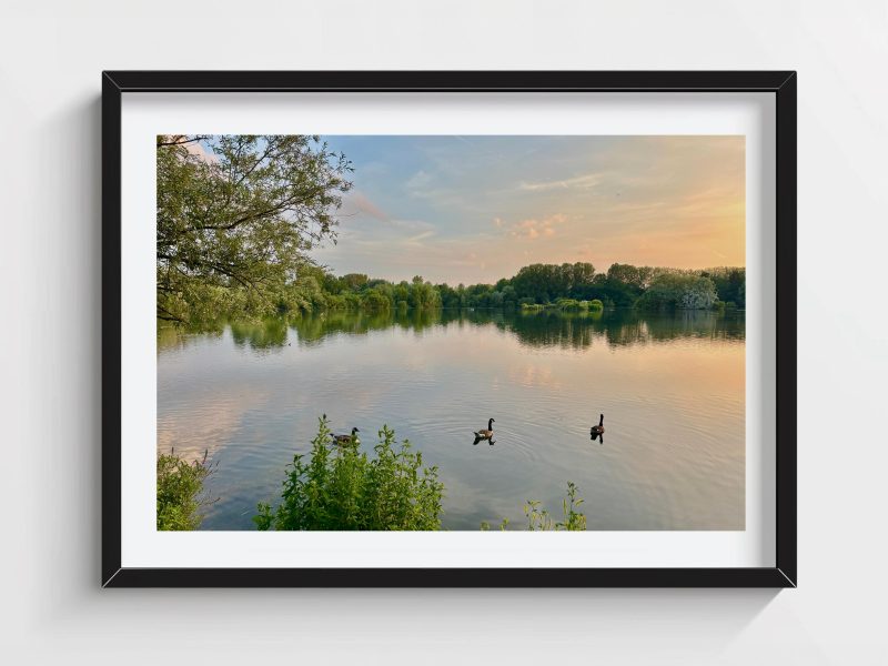 12×8 inch Photo Print of Radley Lakes Abingdon Oxfordshire
