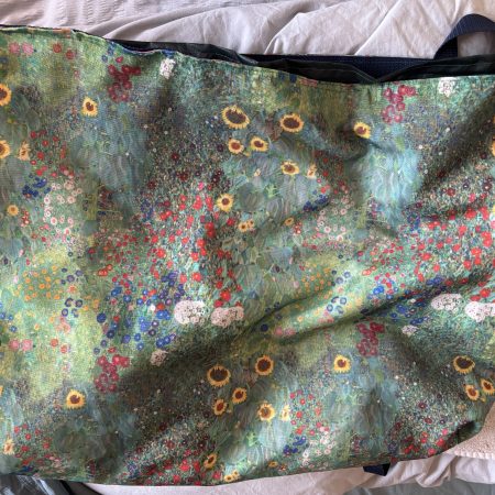 Beautiful and practical Klimt print sports/swimming bag