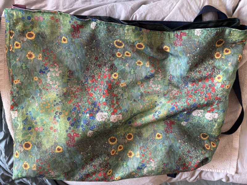 Beautiful and practical Klimt print sports/swimming bag