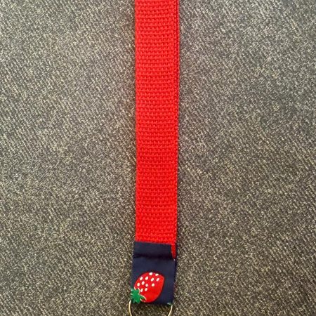 **NEW** Webbing Wristlet Keychain Keyfob with Lobster Clasp