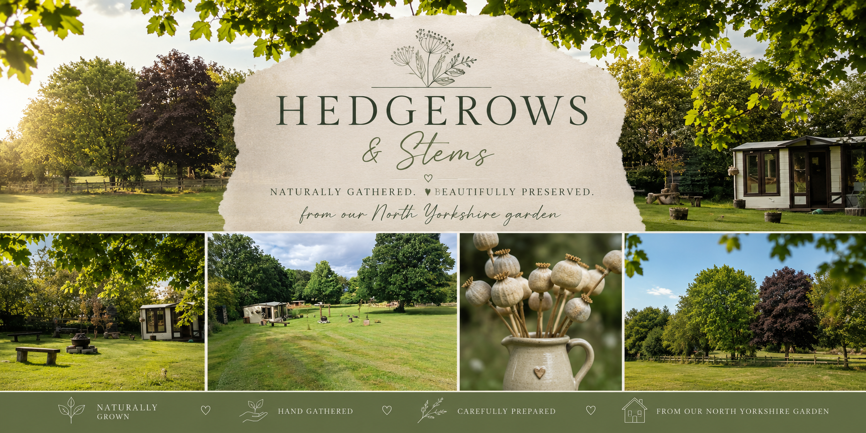 Hedgerows and Stems
