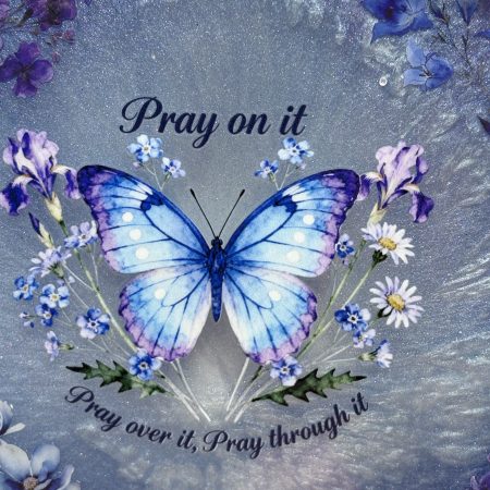 Butterfly Display Tray