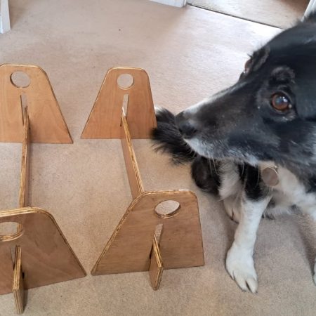 Dog training jumps for small dogs or childs toy.