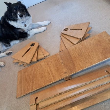 Dog training jumps for small dogs or childs toy.