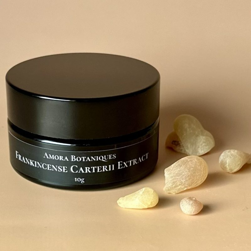 Boswellic Acid Frankincense Carterii Full Spectrum Extract