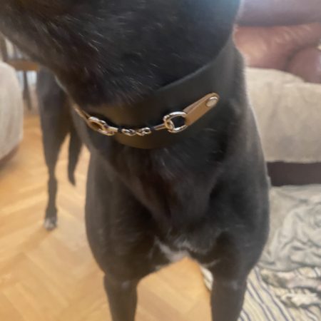 Greyhound/sighthound/dog snaffle and black leather dog collar bespoke handmade