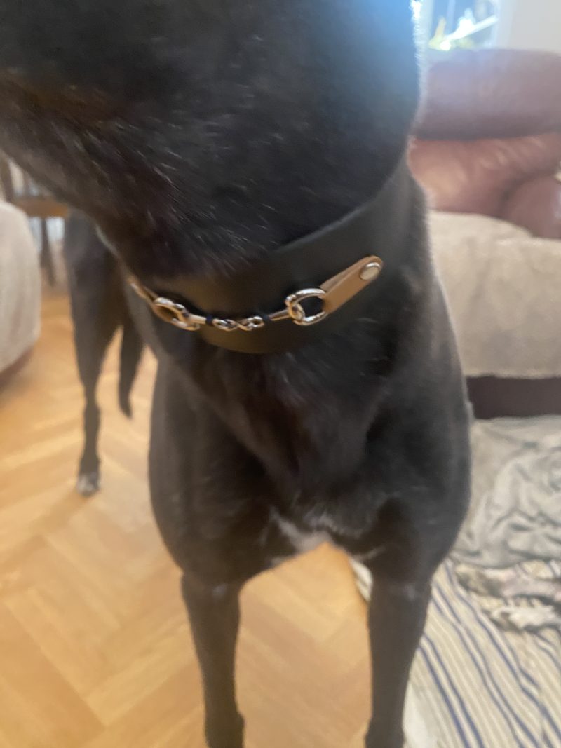 Greyhound/sighthound/dog snaffle and black leather dog collar bespoke handmade