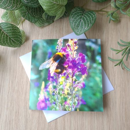 Pack of four cards printed from my impressionist style paintings and photography