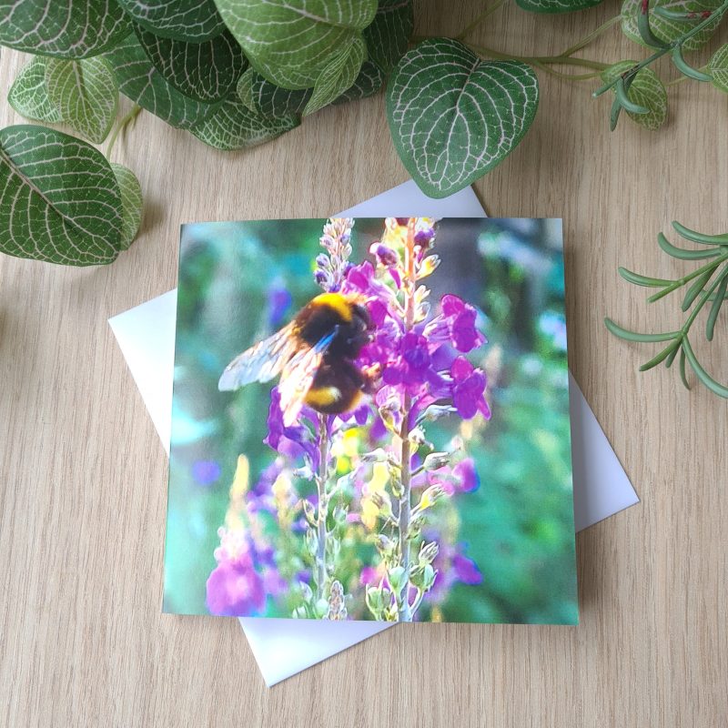 Pack of four cards printed from my impressionist style paintings and photography