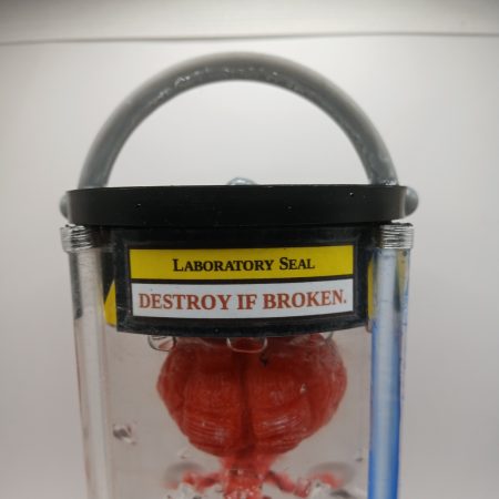 Creepy Curios: Specimen Zero - Deluxe| Brain in a jar | hand-made resin sculpture