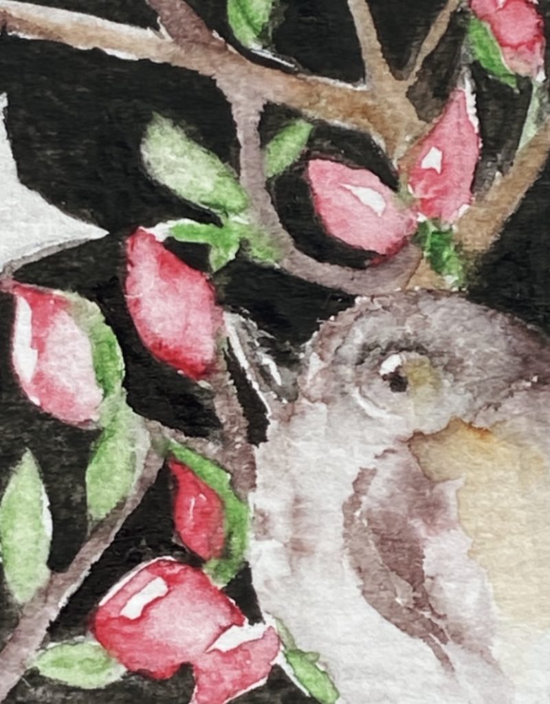 ACEO Mounted Original Whimsical Birds and Star Watercolour