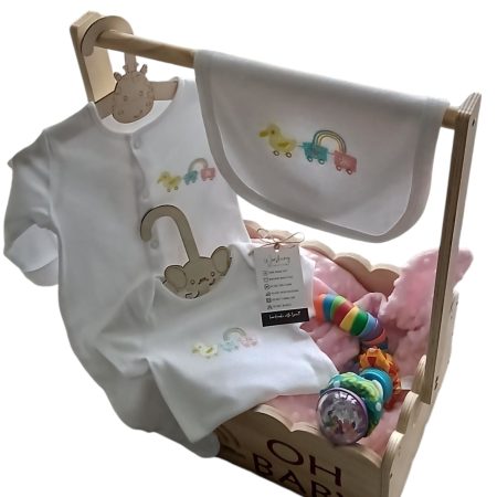 Pull along duck set