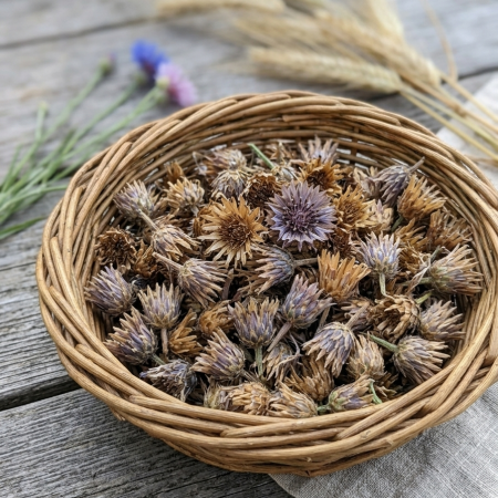 Cornflower mix 1g approx 200 seeds - FREE 1st Class Royal Mail Post