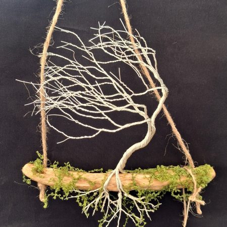 Small silver colour windswept tree on natural driftwood