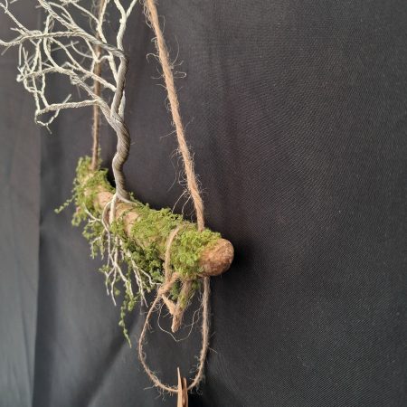 Small silver colour windswept tree on natural driftwood