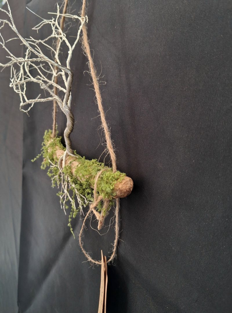 Small silver colour windswept tree on natural driftwood