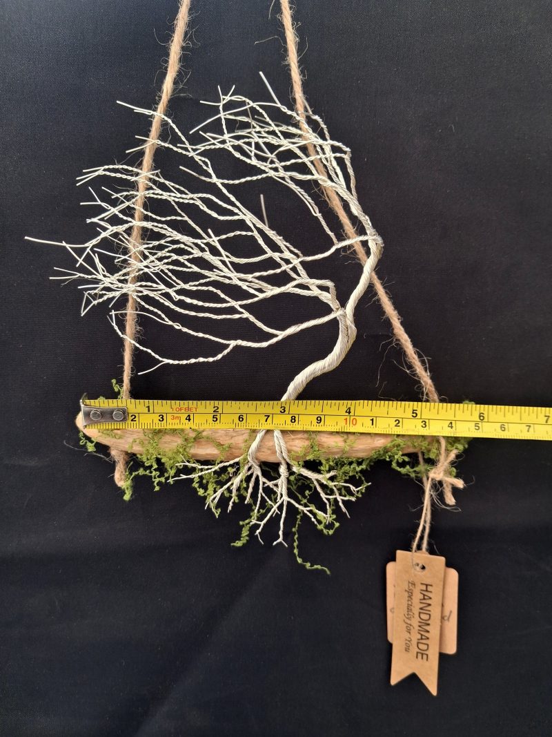 Small silver colour windswept tree on natural driftwood