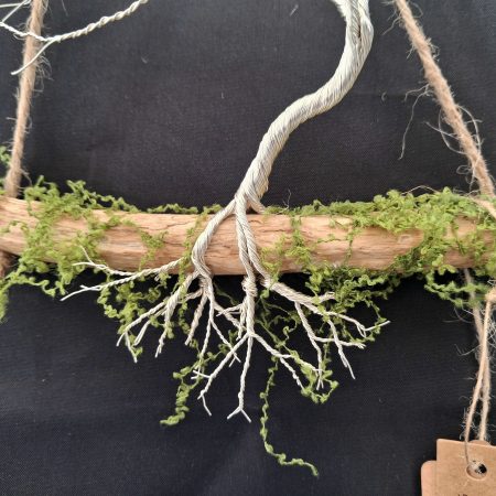 Small silver colour windswept tree on natural driftwood