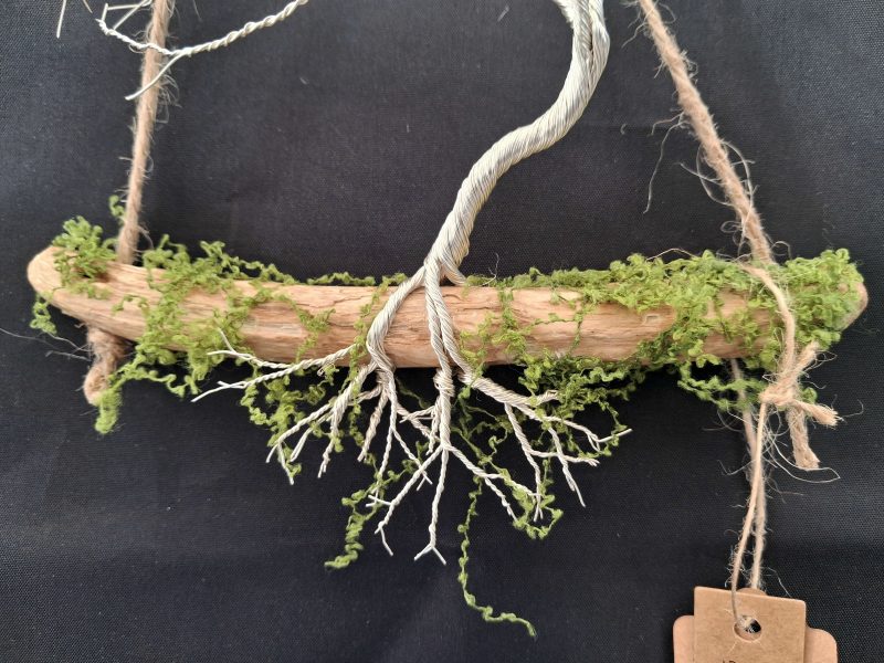 Small silver colour windswept tree on natural driftwood