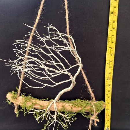 Small silver colour windswept tree on natural driftwood