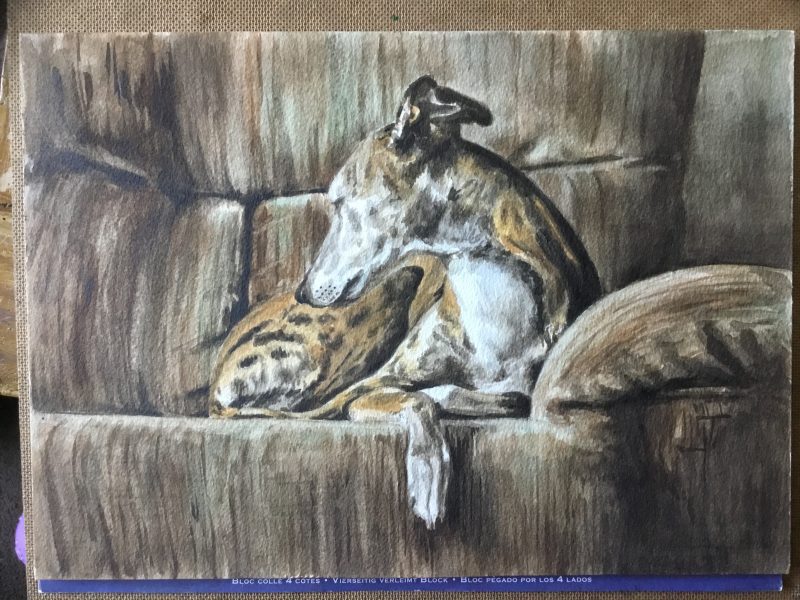 Brindle Greyhound Watercolour Painting 14x10”