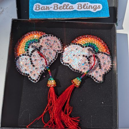 Handmade burlesque nipple tassels and pasties rainbow and cloud pink blush glitter