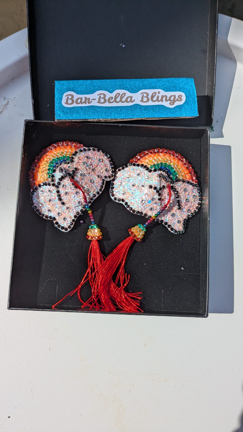 Handmade burlesque nipple tassels and pasties rainbow and cloud pink blush glitter
