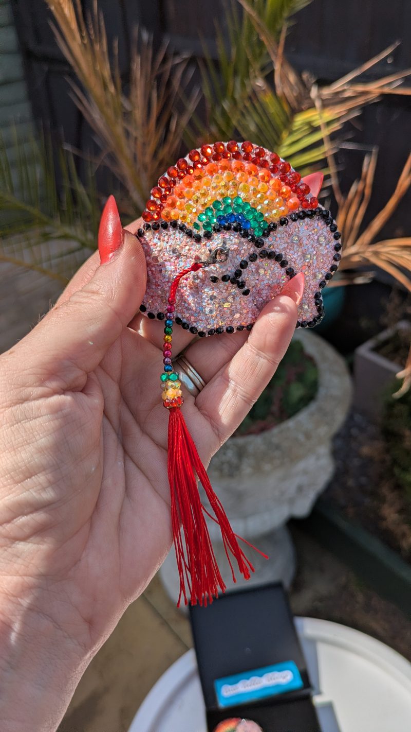 Handmade burlesque nipple tassels and pasties rainbow and cloud pink blush glitter