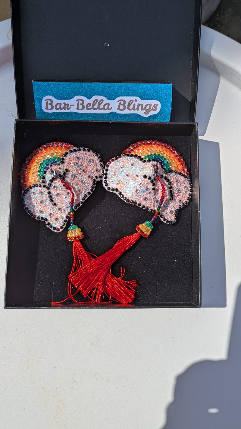 Handmade burlesque nipple tassels and pasties rainbow and cloud pink blush glitter
