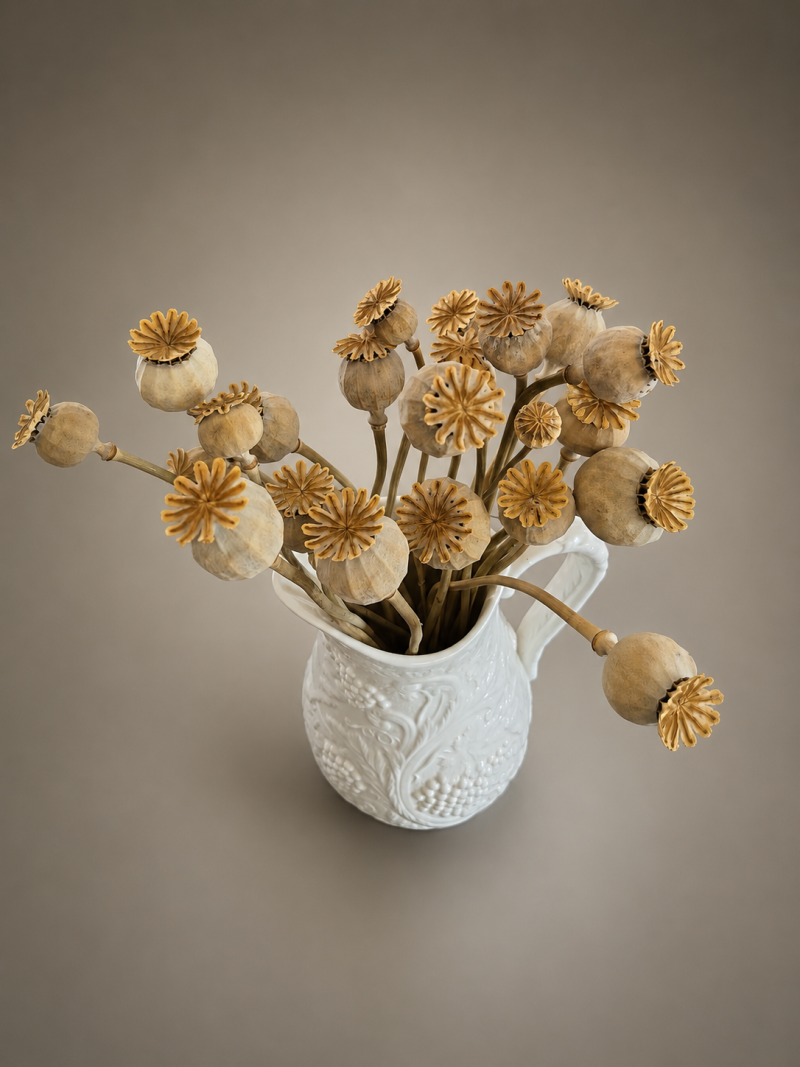 25 Natural Dried Poppy Heads with Stems (30cm) Dried Papaver pods for floristry, home Decor & Crafts FAST 48 HR TRACKED DELIVERY