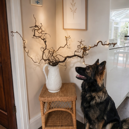 Natural Dried Twisted Hazel 3 Pieces 1 piece Aprx 40 cm and two Aprx 60cm
