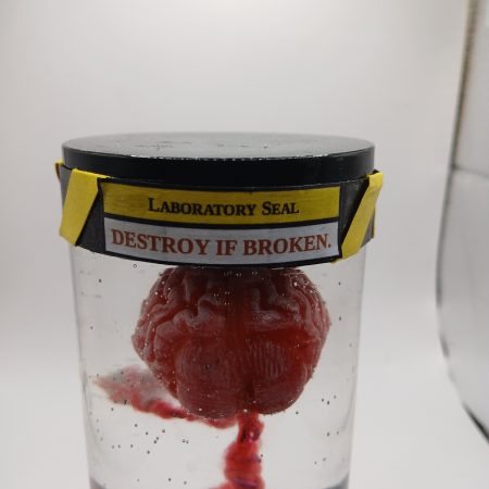 Creepy Curios: Specimen Zero | Brain in a jar | hand-made resin sculpture