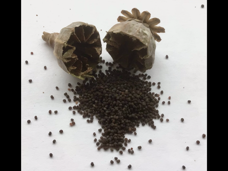 Cornflower and poppy seeds 1gram of each