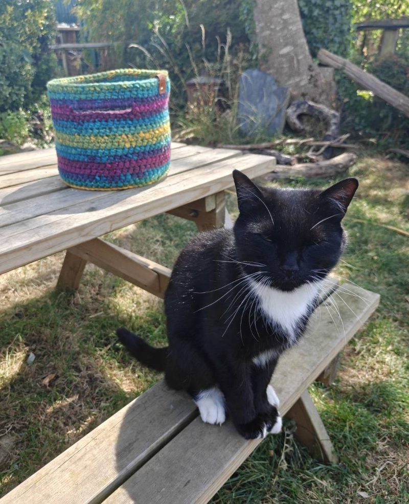 Crochet Storage Basket