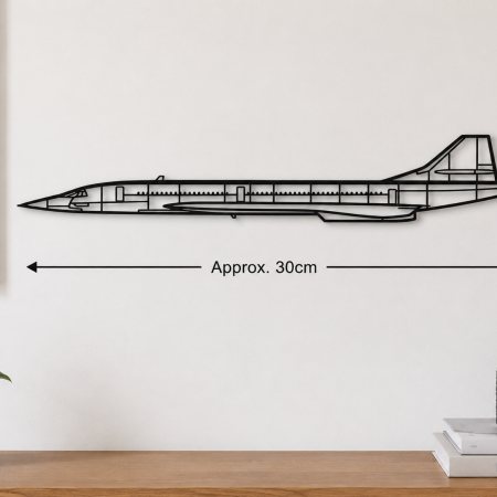 Concorde Supersonic Airliner Wall Art – Matte PLA – Approx. 30cm – Black or White Aviation Décor