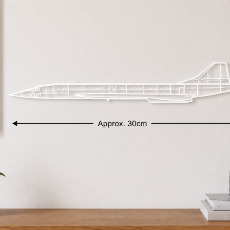 Concorde Supersonic Airliner Wall Art – Matte PLA – Approx. 30cm – Black or White Aviation Décor