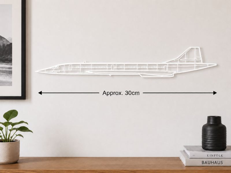 Concorde Supersonic Airliner Wall Art – Matte PLA – Approx. 30cm – Black or White Aviation Décor