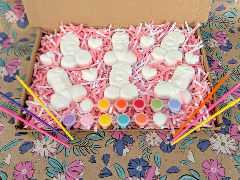 Hen party willy inspired paint set craft kit - Paint you own willy hen party set - Gifts - Painting - Plaster of Paris - Activity set