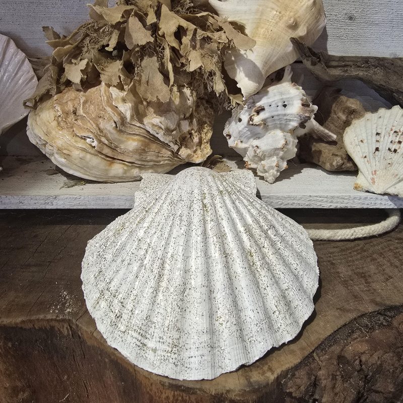 Handmade Bee Design Ring Dish with Metal Stand and Seashell