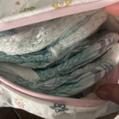 Baby nappy and wipes bag