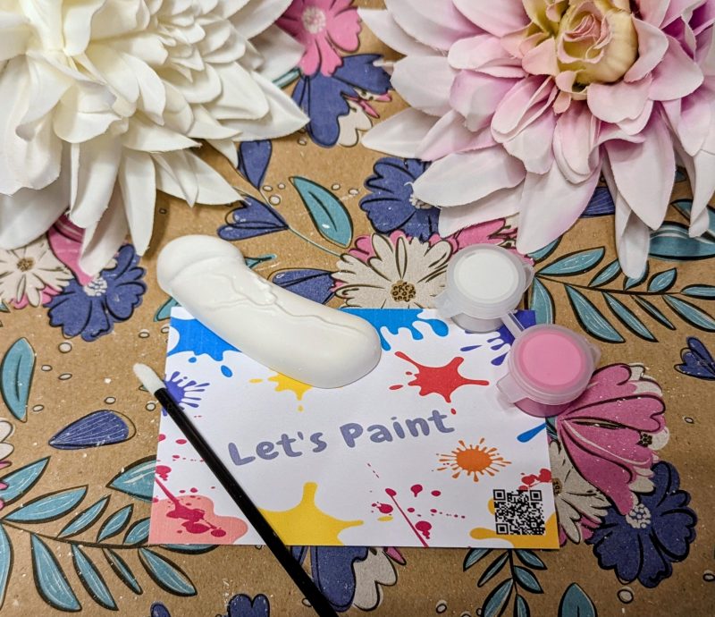 Hen Party Willy inspired paint Party Favour - Paint your own Bridal Party - Party Pack Party Filler - Fun and Frolic Gift - Bride to Be