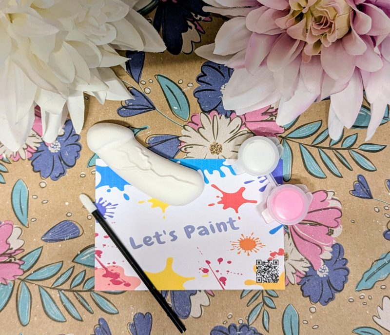 Hen Party Willy inspired paint Party Favour - Paint your own Bridal Party - Party Pack Party Filler - Fun and Frolic Gift - Bride to Be