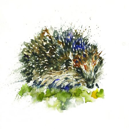 ‘Hannah’ Greeting Card